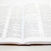 Библия Семейная (каноническая, большого формата: 200*280 мм., твердый переплет)
